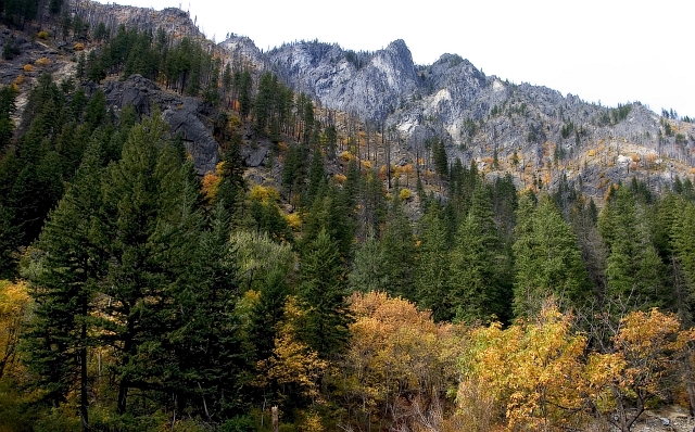 CRW_7623.jpg