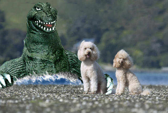 godzilla_poodle_friends.jpg