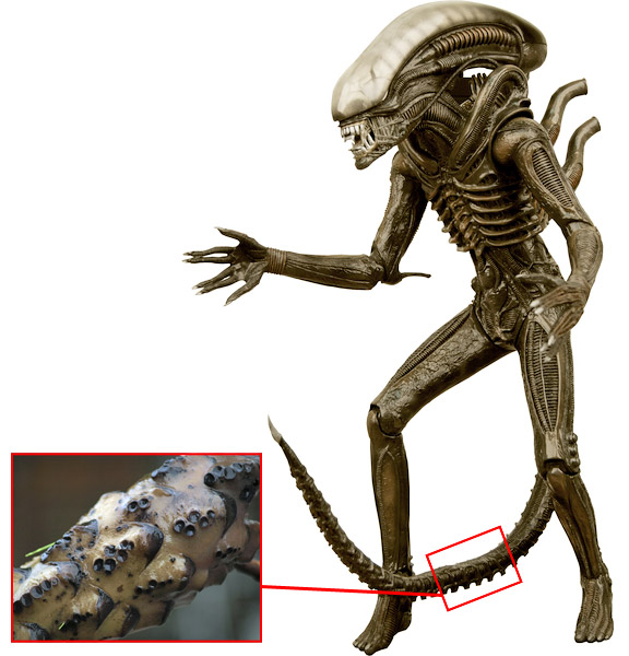 doyles_alien.jpg