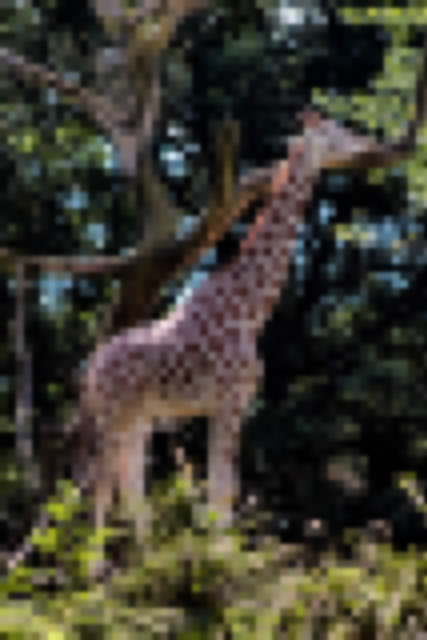 blurry_giraffe.jpg