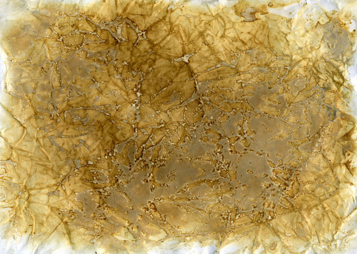 texture_overlay.jpg