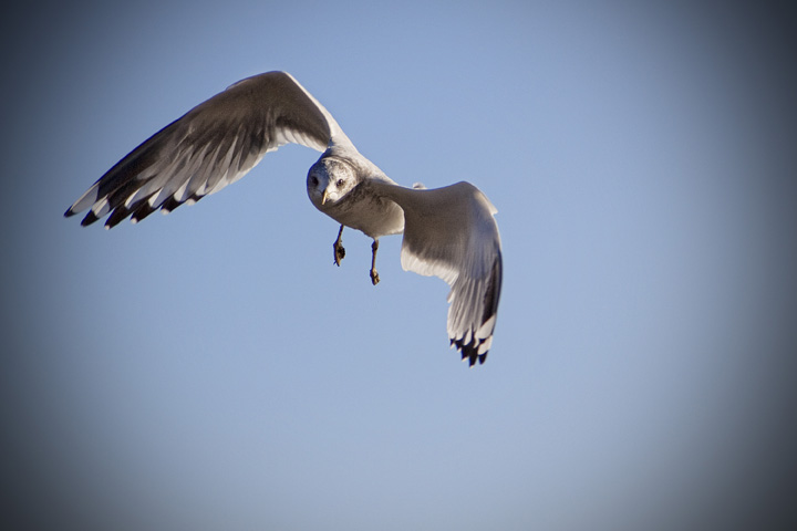 IMG_7489_sm.jpg