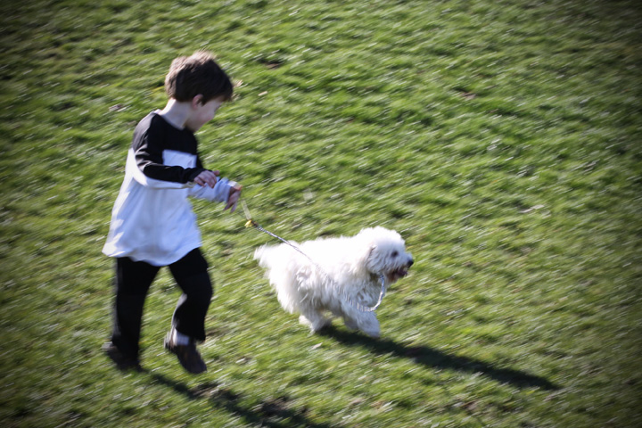 A Boy and his Dog