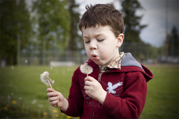 Making Weeds in Someone Else's Yard