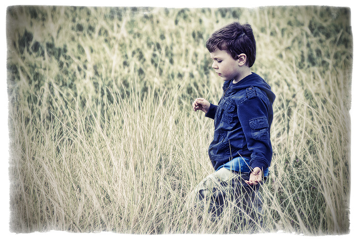 The Explorer