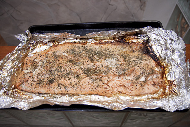 salmon