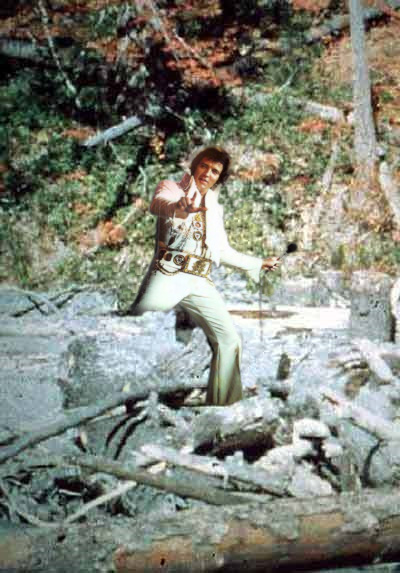 elvis_bigfoot