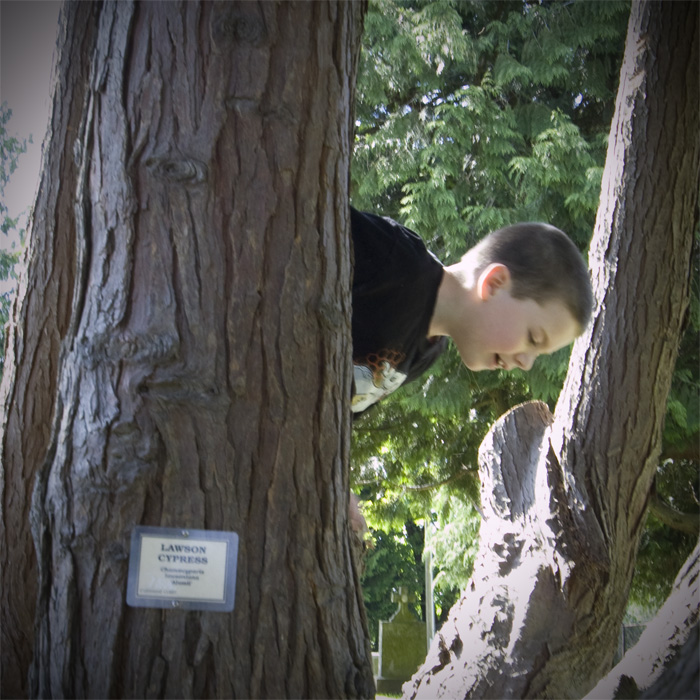 Kid in a tree