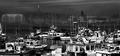 CRW_1329 copy.jpg