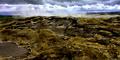 CRW_1757 copy 2.jpg