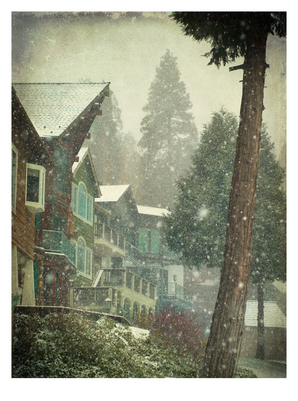 Village Cove