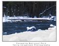 Yosemite In Winter