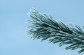 _DSC8326winter-shots4.jpg