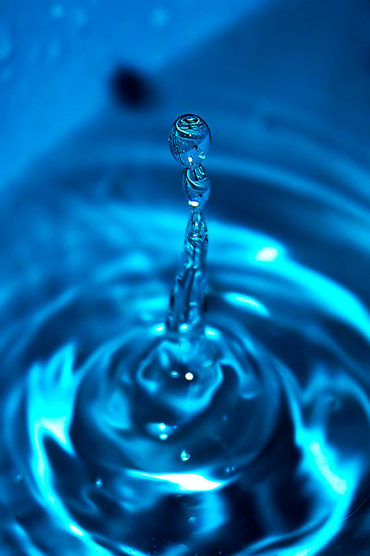 water-column.jpg