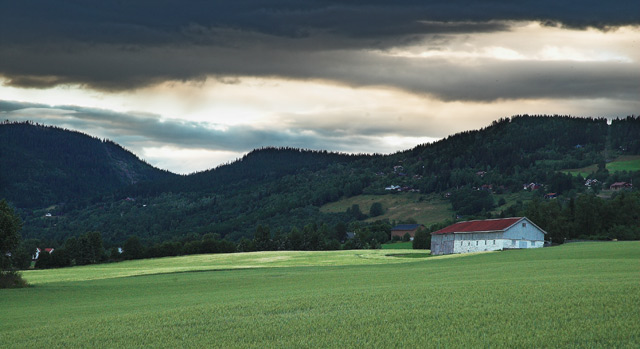 Farm