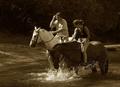 Horse Play
