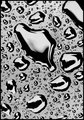 Raindrops on Tarmac