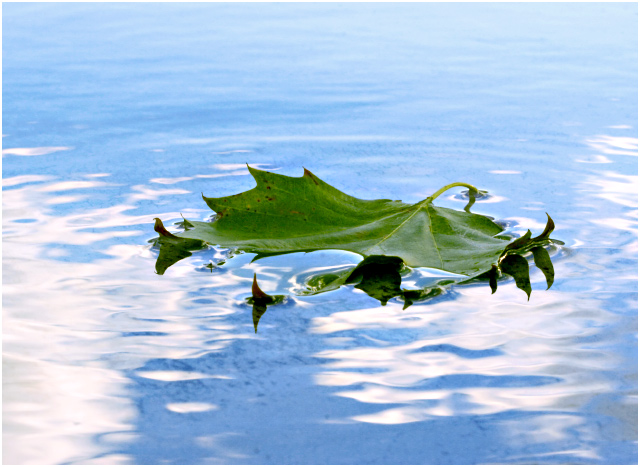 Reflection