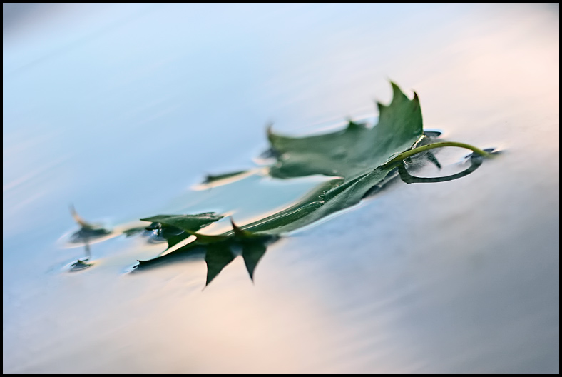 Soft Reflection