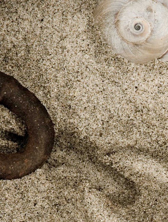 IMG_5098_raw_crop_resized.jpg