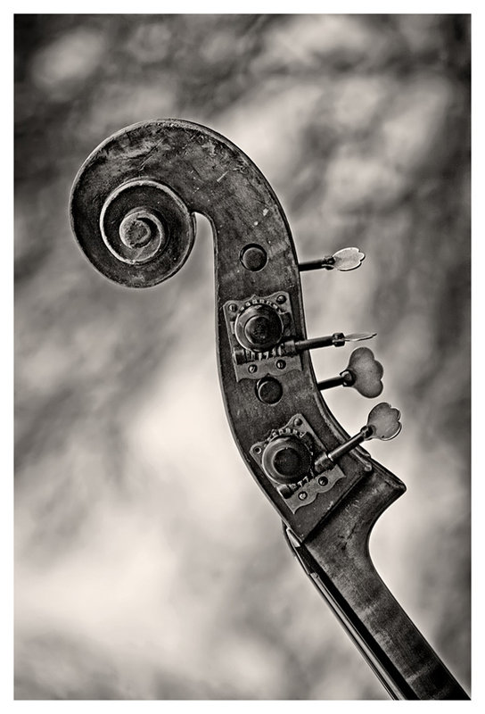 Symphonious Swirl 