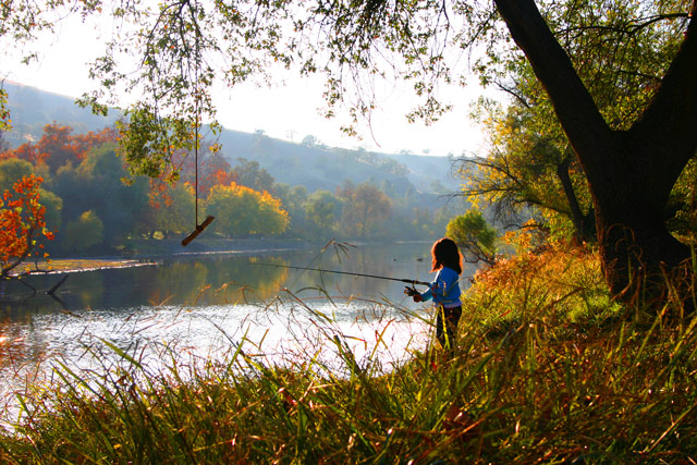 Out Fishing
