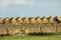 Hay bales