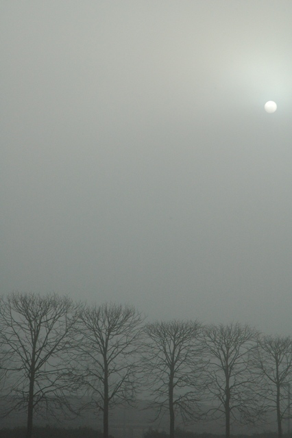 Sunshine through fog