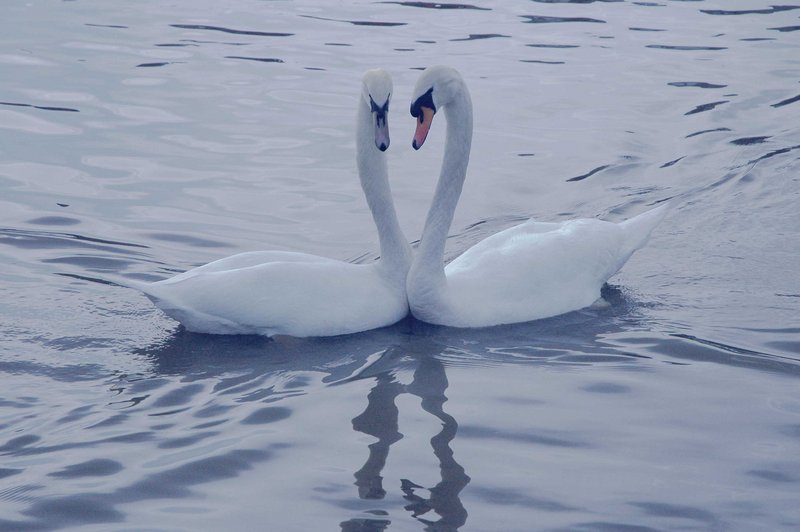 Togetherness