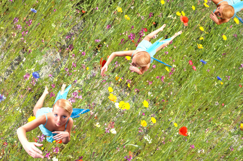 Fairy World 2
