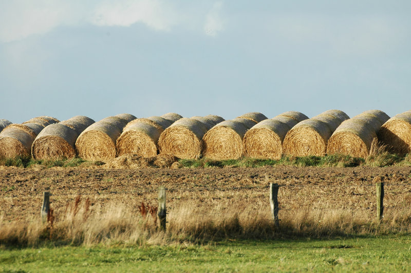 Hay bales