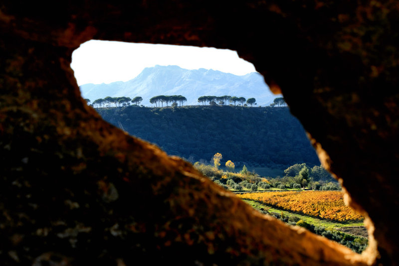 Spanish countryside