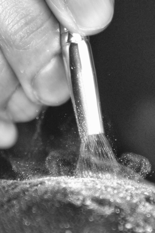 The Brush