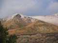 bears_canyon_fall-winter4.jpg