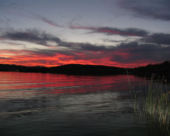 Lake Havasu Sunset Reeds