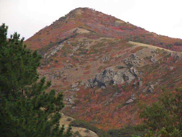 bears_canyon_fall-winter5.jpg