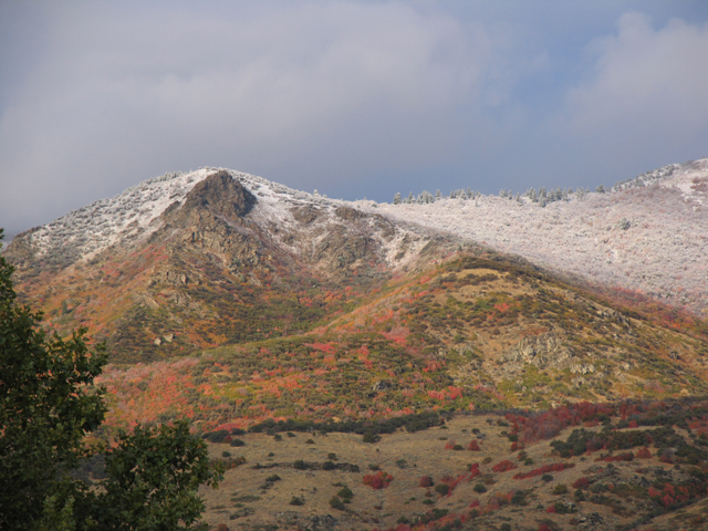 bears_canyon_fall-winter4.jpg