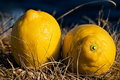 lemons