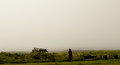 fog