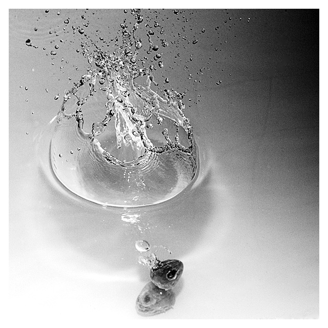 splash