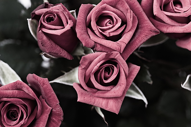 pink