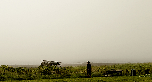 fog