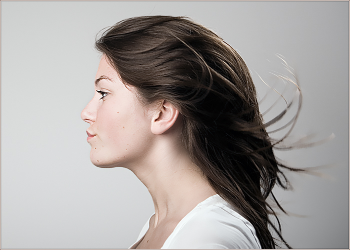 profile