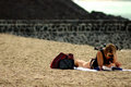 Chillin' at the Beach