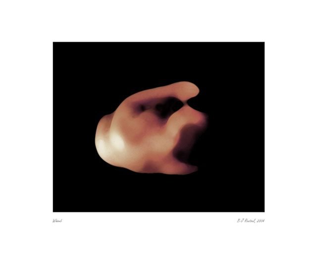 Womb