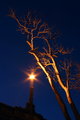 Up-Lighting