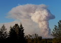 Bear Fire, Northern CA 2004