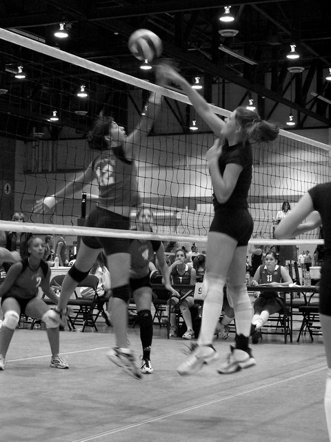 The Joust