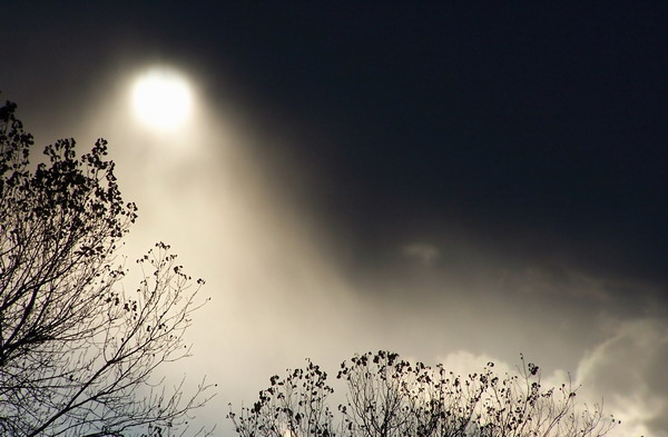 Foggy Day.JPG