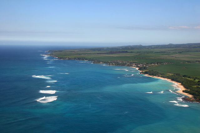 Maui Shore